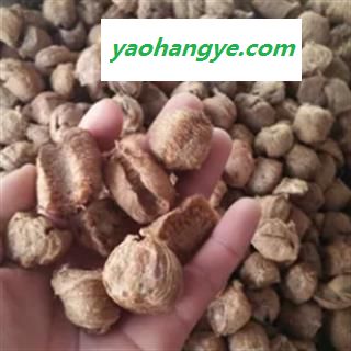 安祁名药正品桑螵蛸  绵桑螵蛸图1