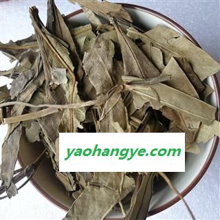 小丽百草行夹竹桃叶 夹竹桃叶 柳叶桃 干叶图1