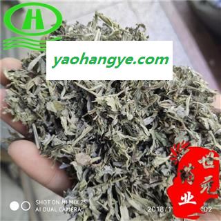 世元药业 小叶艾叶 小叶丝 正品 经济实惠 价廉物美 适合药店诊所 艾蒿 家艾图1