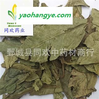 【橘叶】@【同欢药材】中药材批发供应 规格齐全 量大从优  产地 四川省图1