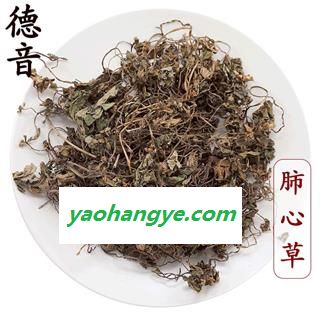 【满包邮】肺心草 统货 产地四川 1000g 中药材批发 规格齐全图1