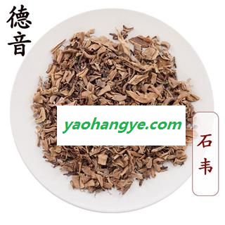 【满包邮】石韦 产地货源 规格齐全 1000g 中药材批发图1