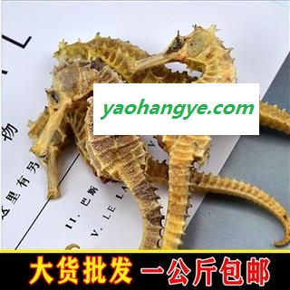 华珍品 海马  09海马短刺 统 7克以上 产地 海外图1