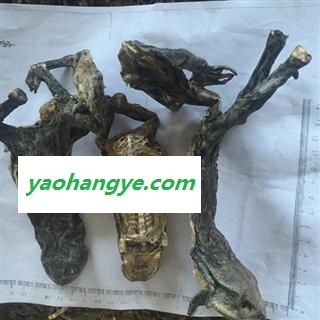 新辉药业正品干蟾图1