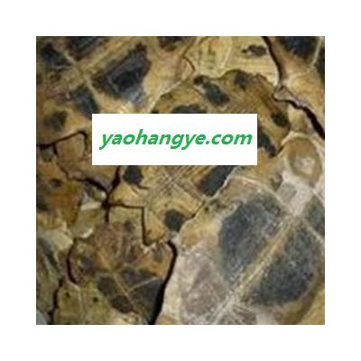京辉药业 龟板 旱龟甲 龟壳 优质促销 销售各种中药材