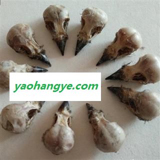 小丽百草行雀脑 麻雀脑 雀脑袋 麻雀头无硫麻雀脑 去毛晒干老家雀头图1