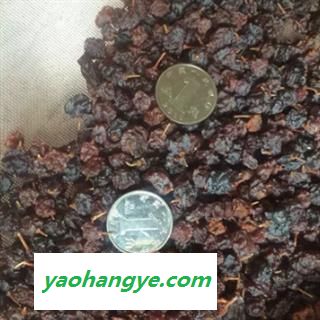 安祁名药正品蛇葡萄图1