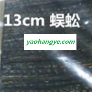 蜈蚣 蜈蚣中条选货12-14cm 产地 湖北省图1