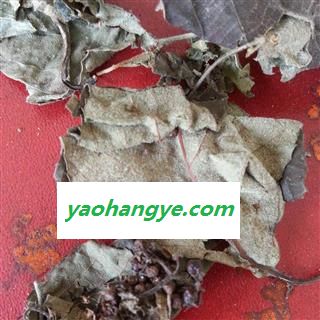 小丽百草行中药材 大叶紫珠 节节红 饭汤叶 贼佬汤 大斑鸠米 裸花紫珠叶 尖尾枫图1