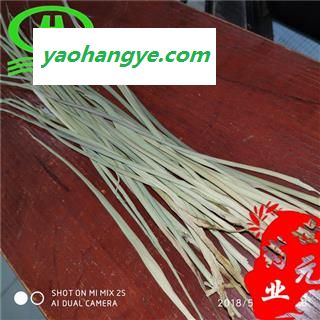 世元药业 竹叶卷心 正品 别称碎骨子 山鸡米 金鸡米 迷身草【全品除尘中药】图1
