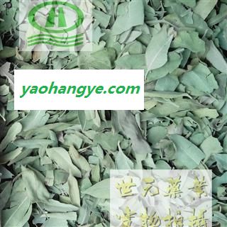 世元药业 大叶罗布麻叶 大叶茶饮y 泽漆麻 红根草 野麻图1
