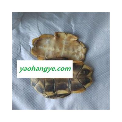 龟板 旱龟甲 正品龟板 选 产地 广东省 安顺药业 专注品质 产地 山东省