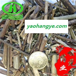 世元药业 白花丹 百花丹 山坡芩 假茉莉 千里及 乌面马 白雪花 野苜莉图1