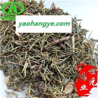 世元药业 刺柏 真正正品 翠柏 杉柏 垂柏 山杉 台桧 台松 山刺柏 香柏 草绿柏图1