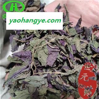 世元药业 紫苏叶丝 正品 别称-赤苏 皱苏 尖苏 香苏叶 鸡冠紫苏 子苏【全品除尘中药】图1