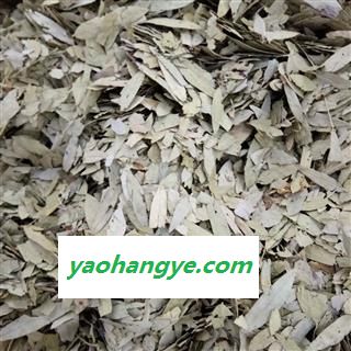 番泻叶 统货 产地 云南省图1