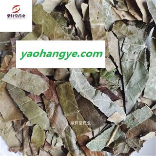 枇杷叶 枇杷叶 巴叶 绿色统货 产地福建省 地道药材 紫轩堂药业图1