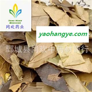 【十大功劳叶】@【同欢药材】中药材批发供应  规格齐全 量大从优  产地 广西壮族自治区图1
