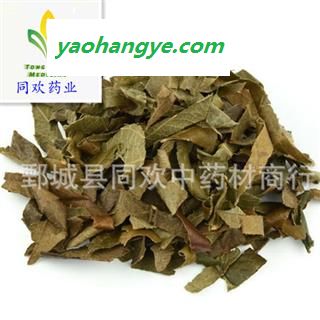 【新货枇杷叶】@【同欢药材】中药材批发供应 规格齐全 量大从优 产地 浙江省图1