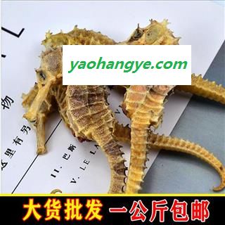 海马 平马 选 13克以上 产地 北京市图1