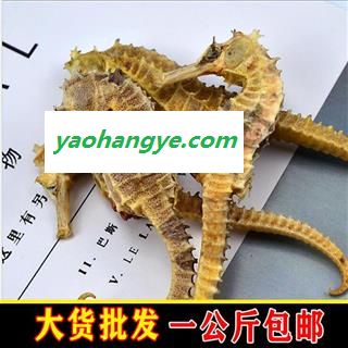 华珍品 海马  02海马小号 统 0.5克以上 产地 海外图1