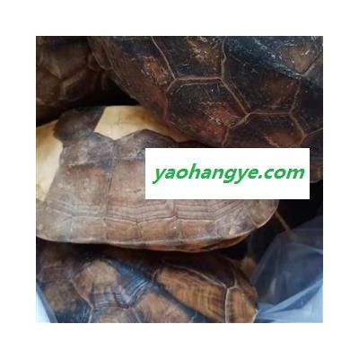 龟板 龟甲  乌龟壳  旱龟板  碎龟壳 草龟壳整个龟甲 有的掉皮 统货 产地 江苏省   特价