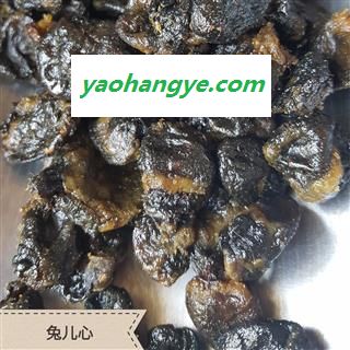 圣草康园兔子心 兔心 兔脑今年新货图1