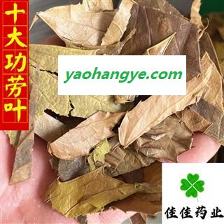 十大功劳叶 统 产地直销 量大从优 供应各种中药材 产地 湖北省图1