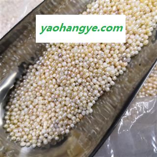 诺源药材行天然珍珠 小米珍珠图1