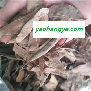 诺源药材行中药材榕树叶  小榕叶 落地金钱图1