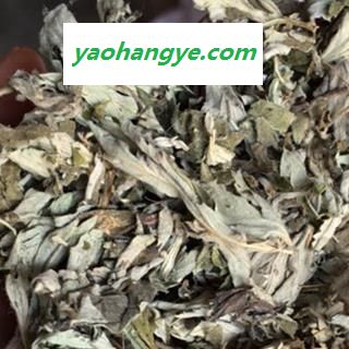 小丽百草行中药材艾叶  叶子绿色图1
