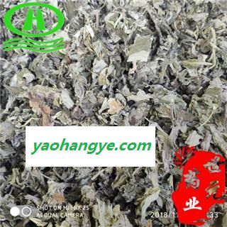 世元药业 大叶艾叶 大叶丝 药效好 正品艾蒿叶 艾草 杂质少 颜色正 味道浓图1