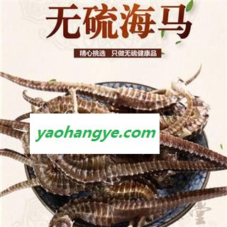 海马 刺马1克清水货全干货正品保证质量 中药材批发 丽丽药业图1