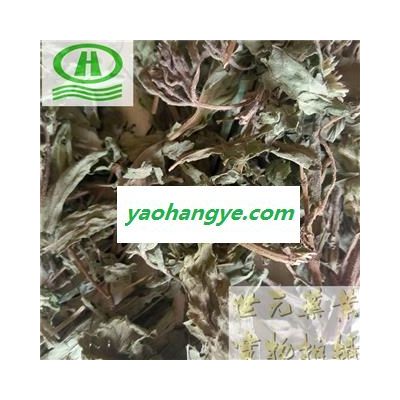 世元药业 甜菊叶 药用甜叶菊 另有茶饮一级