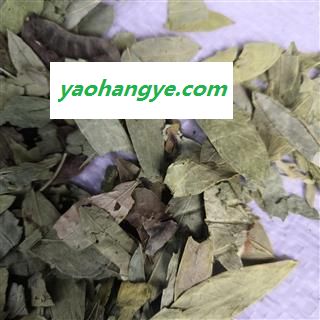 新辉药业番泻叶 泻叶图1