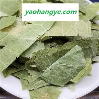 圣草康园淫羊藿 甘肃淫羊藿 小叶淫羊藿产地直供可供饮片厂图1