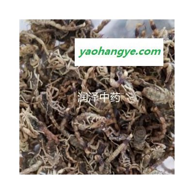 【山西盐水全虫全蝎】【润泽中药】中药材批发供应 规格齐全 量大从优