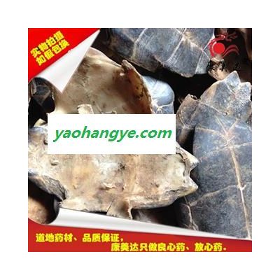 龟甲 旱龟板选货  正品龟板草龟板  包含量 产地 湖北省宜昌市兴山县