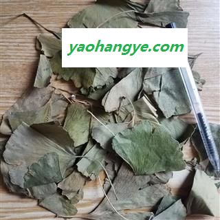 安祁名药正品银杏叶 另有银杏叶茶图1