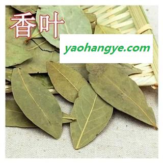 香叶 新货 颜色绿味道浓 产地 广西壮族自治区 产地直销 重在质量图1
