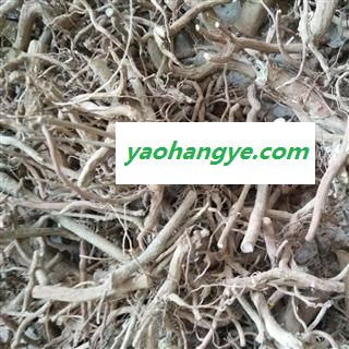新辉药业正品虎刺根 绣花针图1