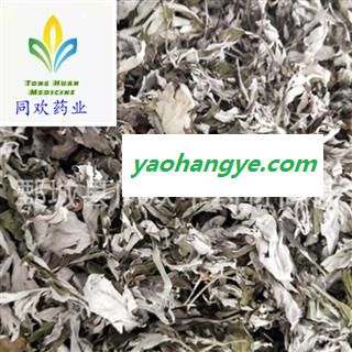 【大艾叶】@【同欢药材】中药材批发供应  规格齐全 量大从优 产地 山东省图1