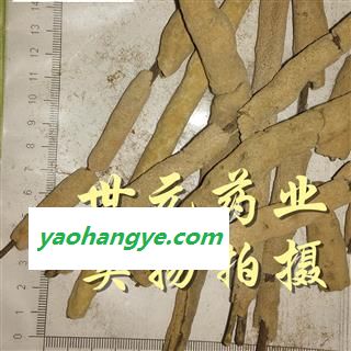 世元药业 紫梢花 个大 紫稍花 紫霄花 淡水海绵图1