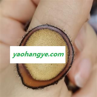 纯正梅花鹿茸半蜡片，鹿茸片养殖鹿鹿茸图1