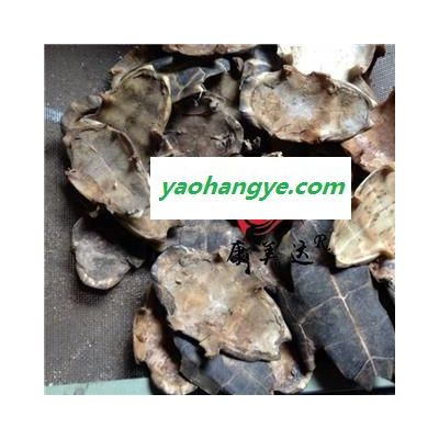龟甲 龟板统货  正品龟板 包含量 旱龟板  产地 湖北省