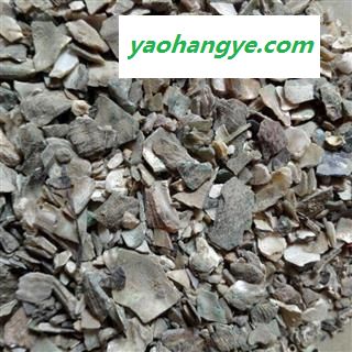 石决明 选 假一赔十 质量保证  产地 山东省图1