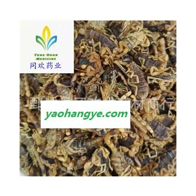 【山西淡盐全虫 全蝎】@【同欢药材】中药材批发供应  规格齐全 量大从优  产地 山西省