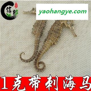 海马带刺海马1克纯清水足干货不加料专营贵细类冷被偏门专注品质，诚信信邦！图1