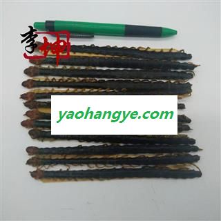 【包邮】蜈蚣 大条16cm以上精选货（25条）湖北产 过药检【良心经营 品种齐全】图1