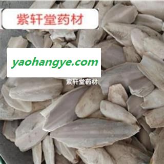 乌贼骨 鱼骨  海螵蛸统货 产地 广西福建等地图1